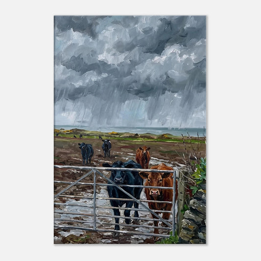 06ba887f-4e4a-4432-a228-2e023adf8b4c